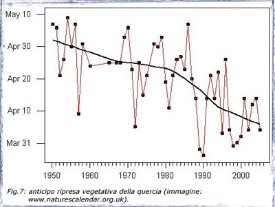 anticipo ripresa vegetativa della quercia